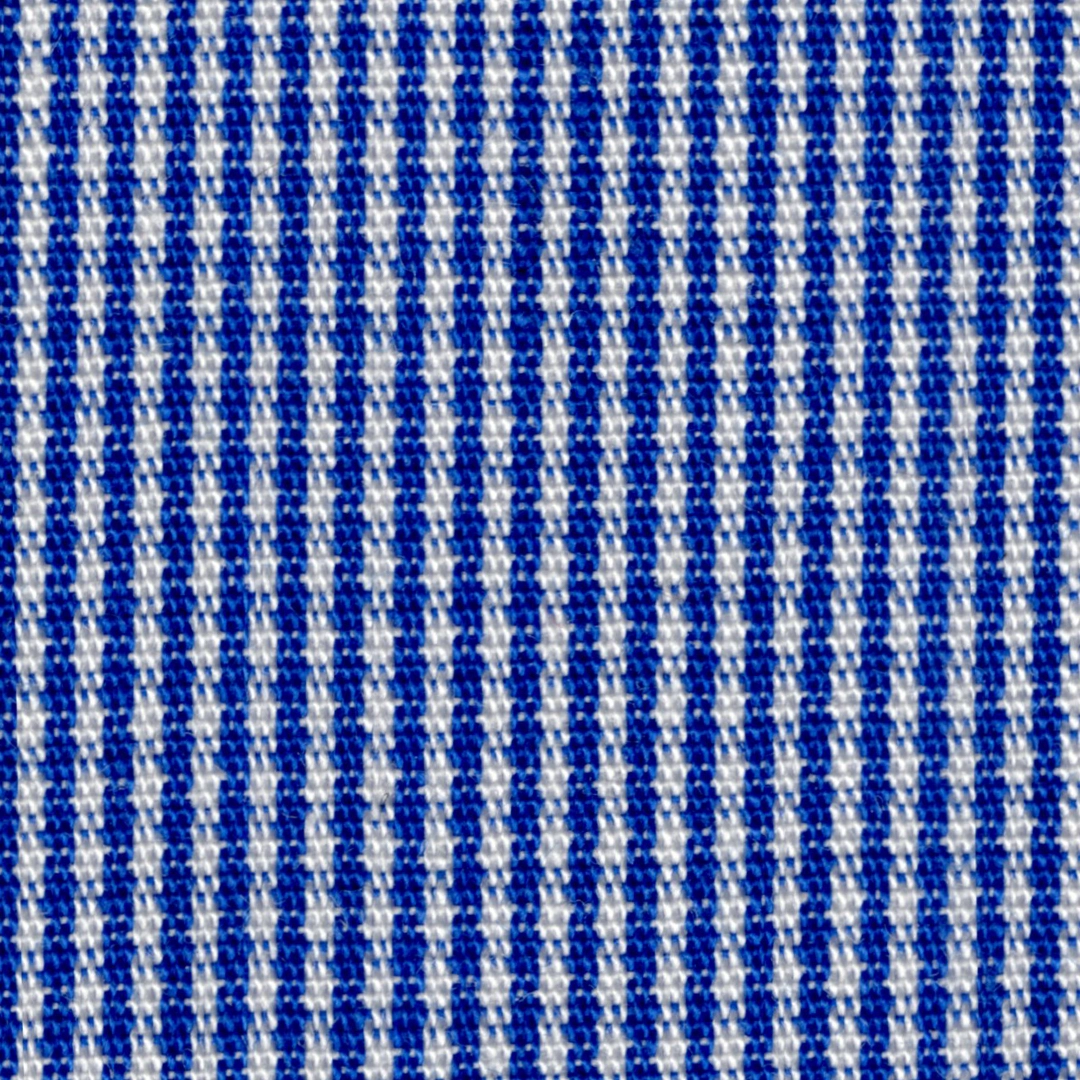Blue Checked